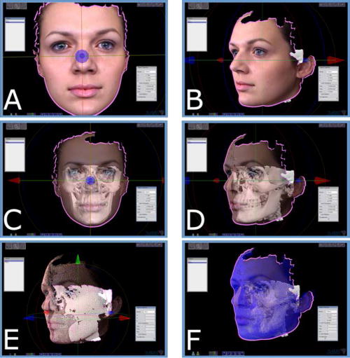 An external file that holds a picture, illustration, etc., usually as some form of binary object. The name of referred object is rmmj-3-2-e0012_Figure6.jpg